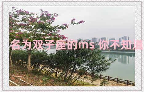 名为双子座的ms 你不知道的双子座